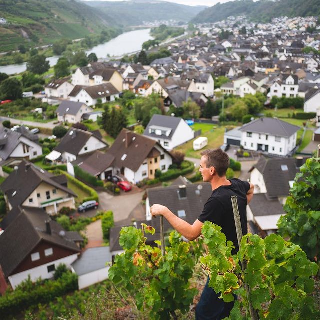 Madame Flöck Schmettering 2020 - Imagen 7